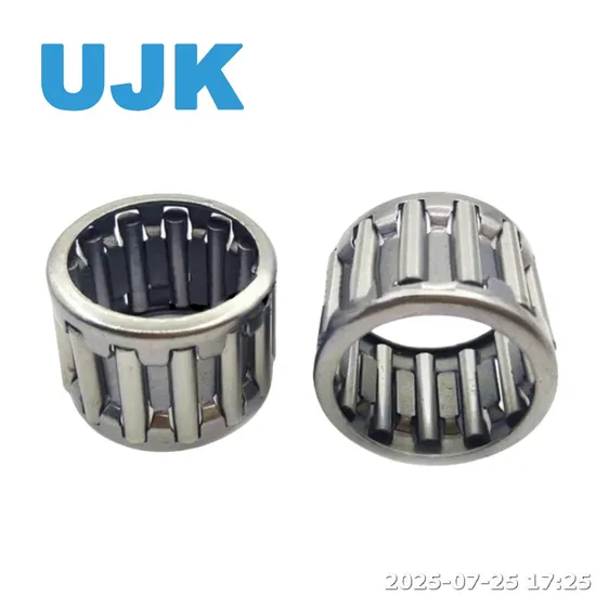 HK Needle Roller Bearings HK2220 HK2220 HK2512 HK2512 HK2516 HK2520 HK2526 HK3012 HK3020 HK3026 HK3512 HK3520 HK4016 HK4020 HK4516 HK4520 HK5020 HK5520 pictures & photos