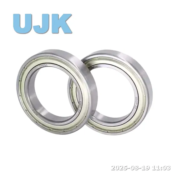 Thin Section Ball Bearings 61821/61821-2RS/61821zz (1000821/1000821 2RS/1000821 ZZ) 105X130X13 0.320kg pictures & photos
