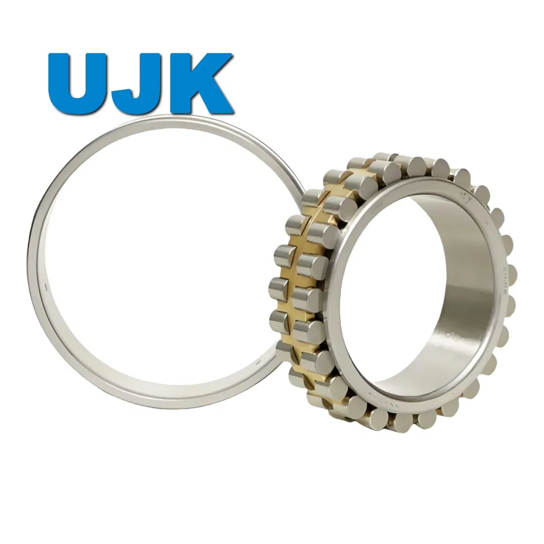 Double Row Cylindrical Roller Bearings Nnu4988/W33 Nnu4996/W33 Nnu49/500/W33 Nnu49/530/W33 Nnu49/560/W33 Nnu49/600/W33 Nnu4921/W33 Nnu4920K/W33 pictures & photos