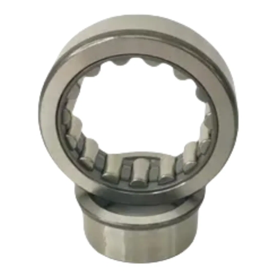 Cylindrical Roller Bearing Needle Roller Bearings Motorcycle Bearings F-113342.07 F-113282.3 F-239956.02 F-113274.01-0010 F-239956.02 F-113712 Pgdf11334207 pictures & photos