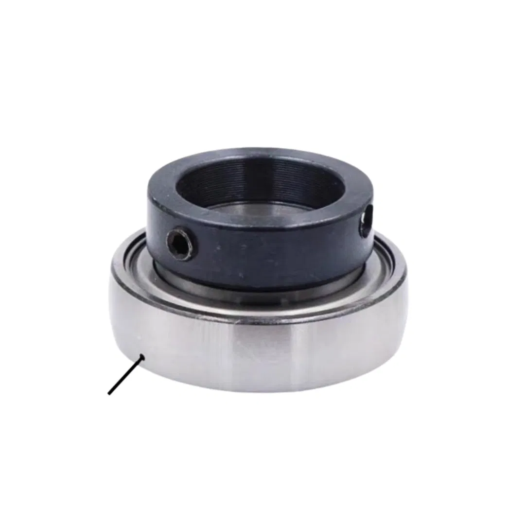 Ball Bearing Bearing Insert SA206 SA206-17 SA206-18 SA206-19 SA206-20 SA207 SA207-20 SA207-21 SA207-22 SA207-23 SA208 SA208-24 SA208-25 pictures & photos