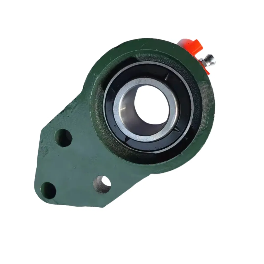Pillow Block Bearings Bearings Units Ucfb201 Ucfb202 Ucfb203 Ucfb204 Ucfb205 Ucfb206 Ucfb207 Ucfb208 Ucfb209 Ucfb210 Ucfb211 Ucfb212 pictures & photos