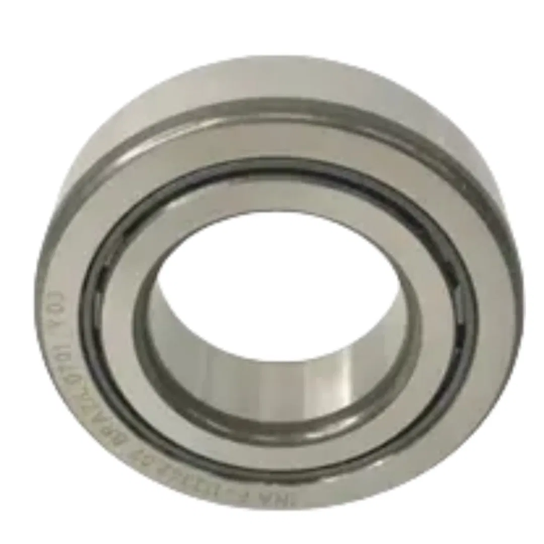 Cylindrical Roller Bearing Needle Roller Bearings Motorcycle Bearings F-113342.07 F-113282.3 F-239956.02 F-113274.01-0010 F-239956.02 F-113712 Pgdf11334207 pictures & photos