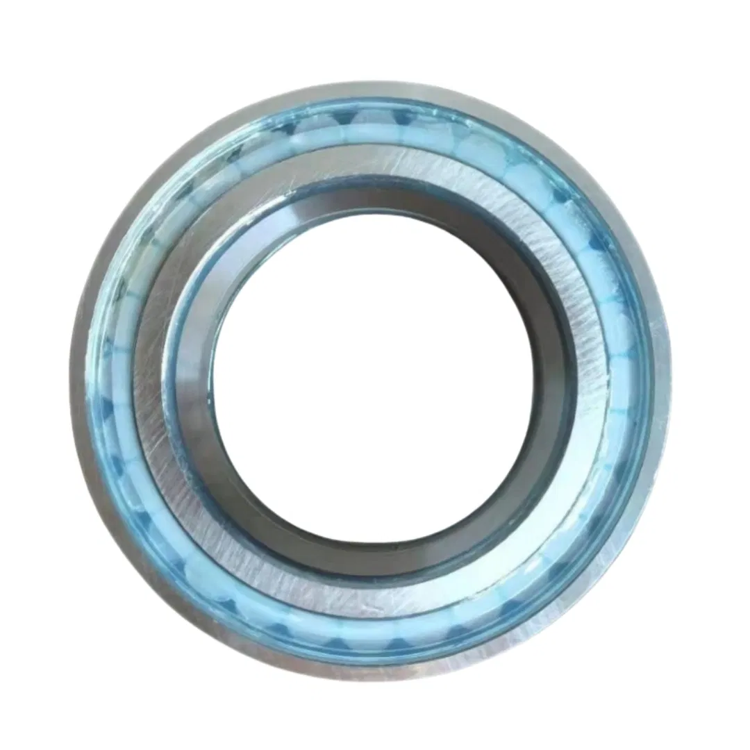 High Quality Rsl18 2212 Full Complement Cylindrical Roller Bearing Rsl18 2212-Fs 19HD9 Bearing pictures & photos