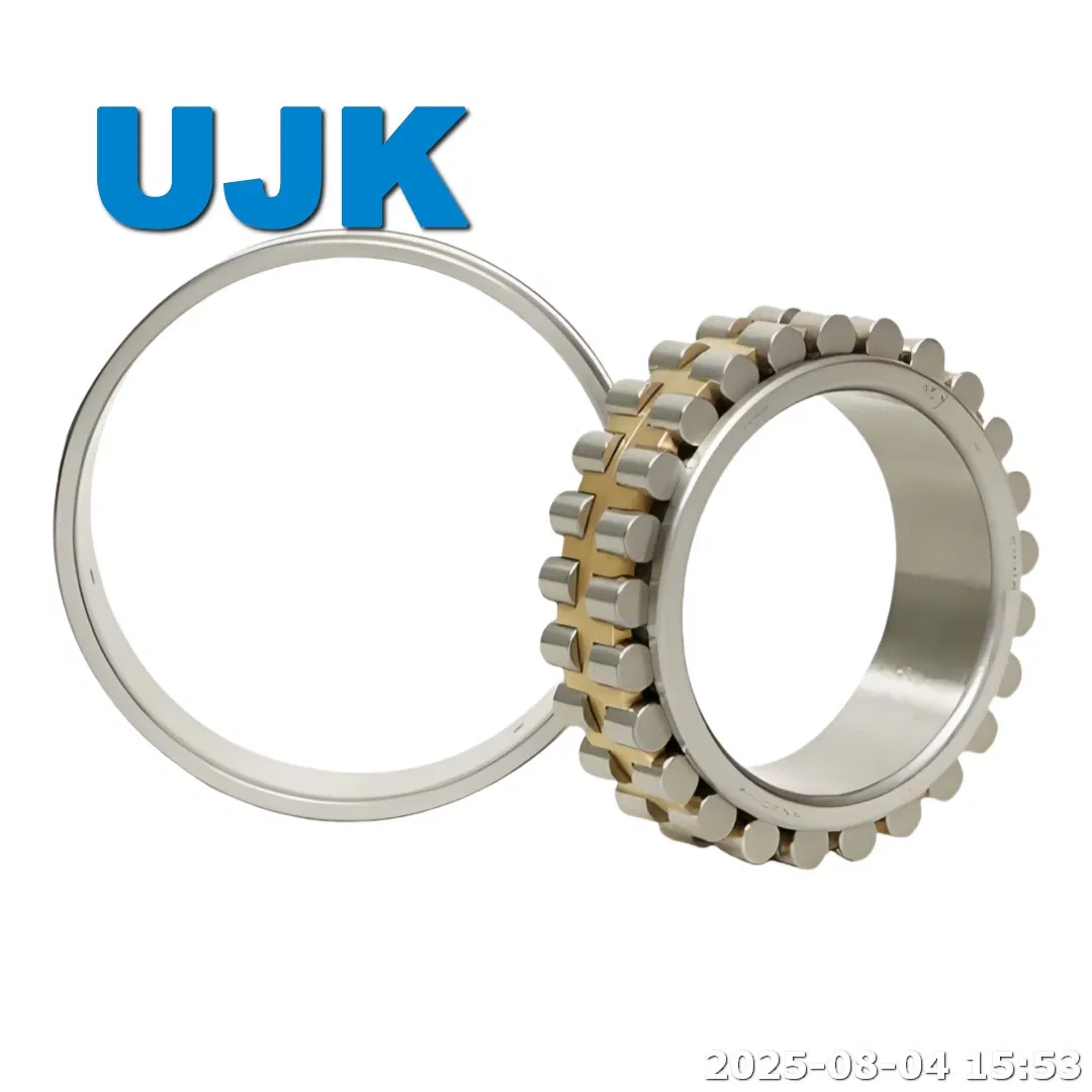 Double Row Cylindrical Roller Bearings 3182180 3182184 3182188 3182192 3182196 3182105 3182106 3182107 3182108 3182109 3182110 3182111 3182112 pictures & photos