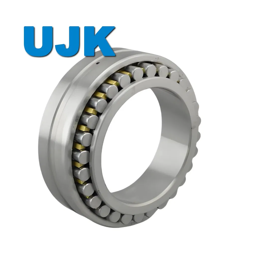 Double Row Cylindrical Roller Bearings 3282121 3282122 3282124 3282126 3282128 3282130 3282132 3282134 3282136 3282138 3282140 3282144 3282148 pictures & photos