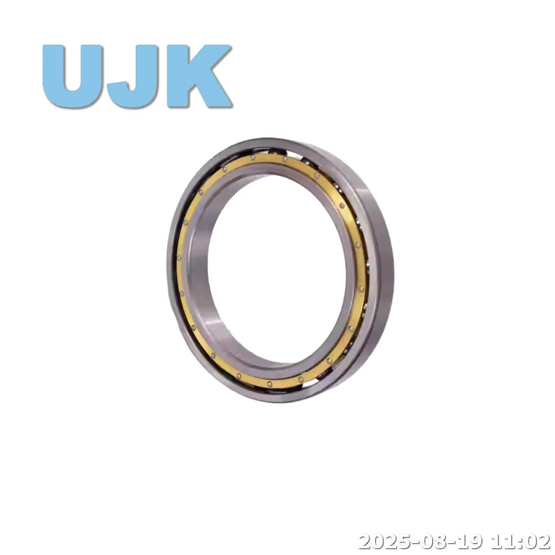 Thin Section Bearings 61816/61816-2RS/61816zz (1000816/1000816 2RS/1000816 ZZ) 80X100X10 0.155kg pictures & photos