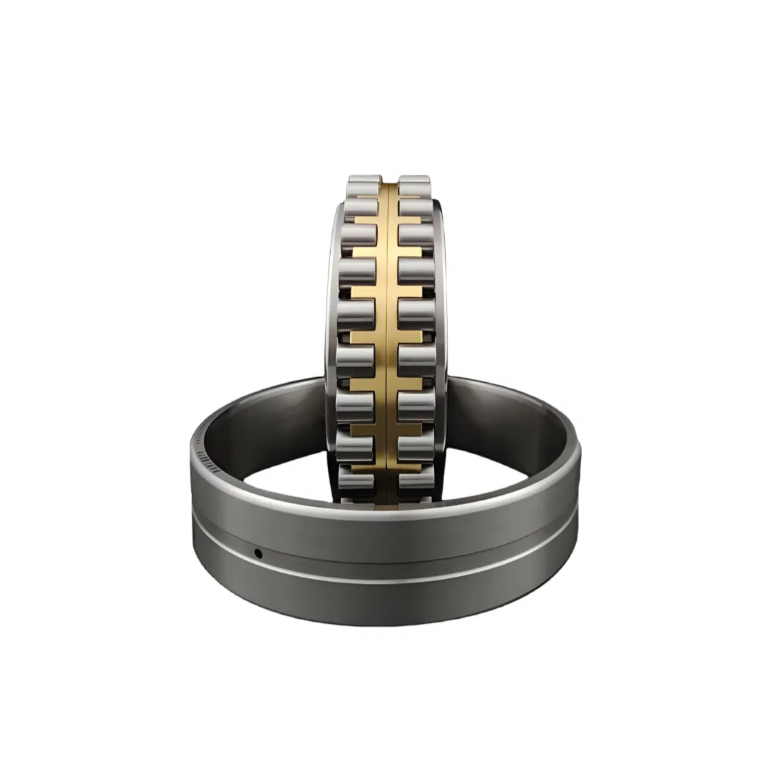 Double Row Cylindrical Roller Bearings Nn3009K/W33 Nn3010K/W33 Nn3011K/W33 Nn3012K/W33 Nn3013K/W33 Nn3014K/W33 Nn3015K/W33 Nn3016K/W33 Nn3017K/W33 pictures & photos