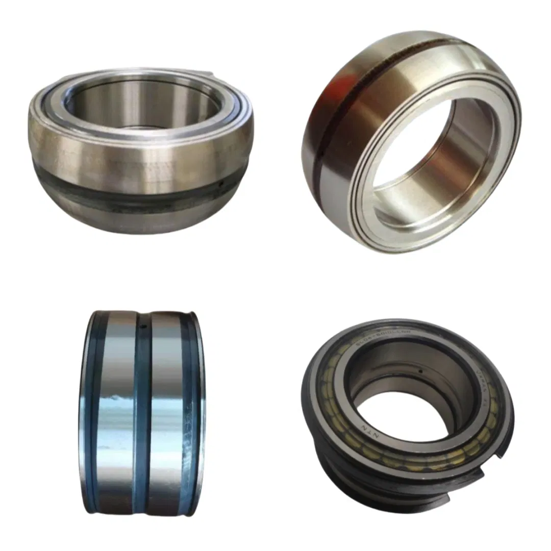 Double Row Full Complement Cylindrical Roller Bearing Without Outer Ring Cpm 2729 2179 2188 2180 2650 2506 2567 2412 2777 2592 pictures & photos