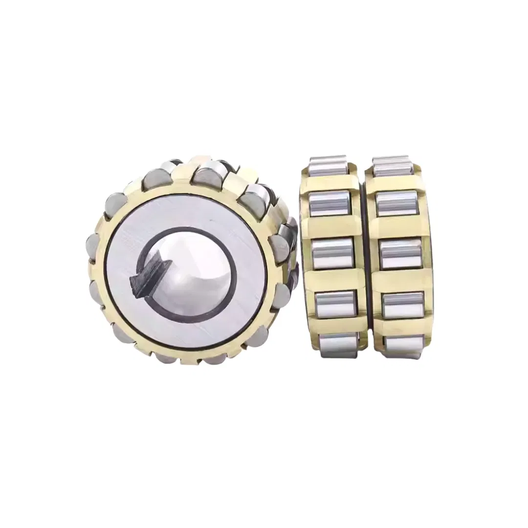 Reducer Special Integral Eccentric Bearings Cylindrical Roller Bearings 250752307K pictures & photos