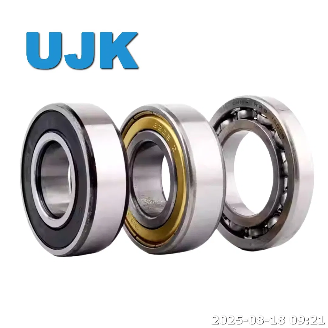 Agricultural Ball Bearings 6305/6305-2RS/6305zz (305 180305 80305) 25× 62× 17 0.2380kg pictures & photos
