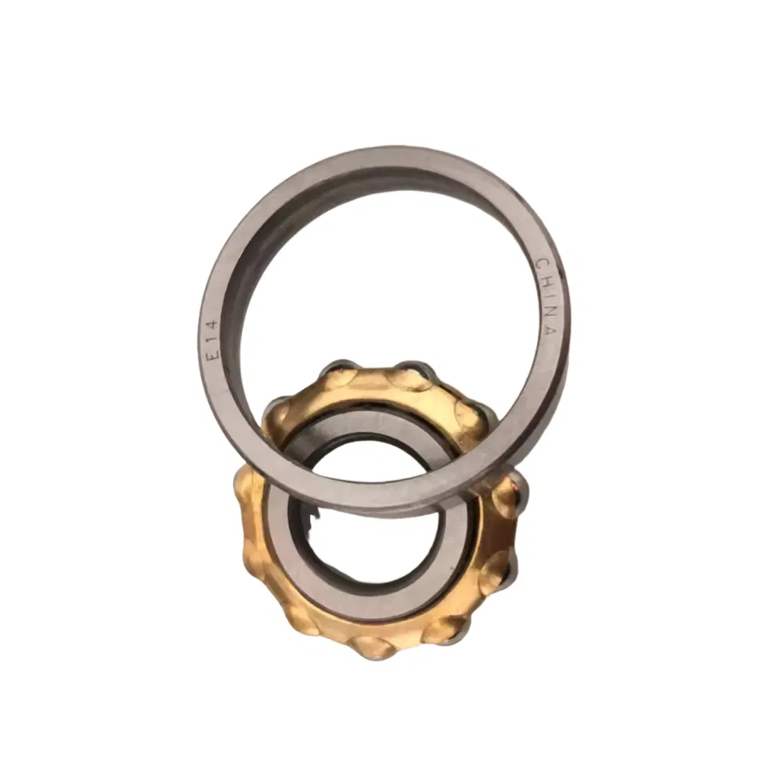 E5 En5 Magnetic Bearing Magneto Bearing with Brass Cage for Textile Spinning Mills Machine pictures & photos