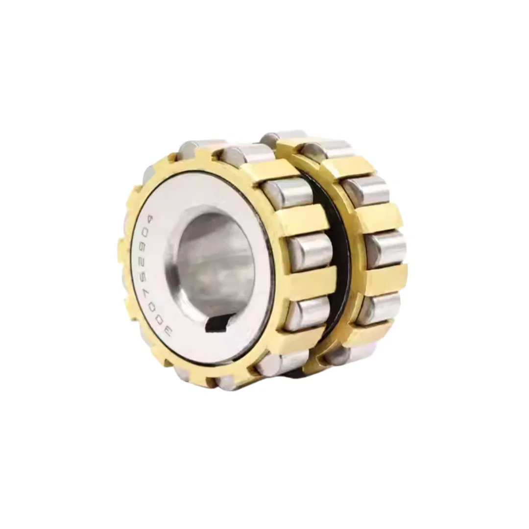 Reducer Special Integral Eccentric Bearings Cylindrical Roller Bearings 250752307K pictures & photos