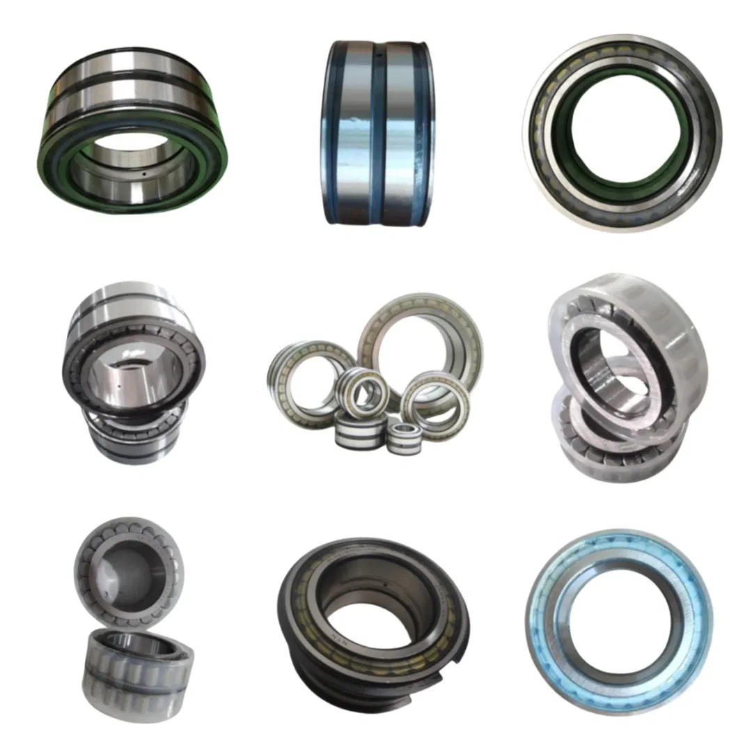 Double-Row Full Complement Cylindrical Roller Bearing Original Genuin SL04170 SL04170-D-PP SL04170-D-PP-2nr pictures & photos