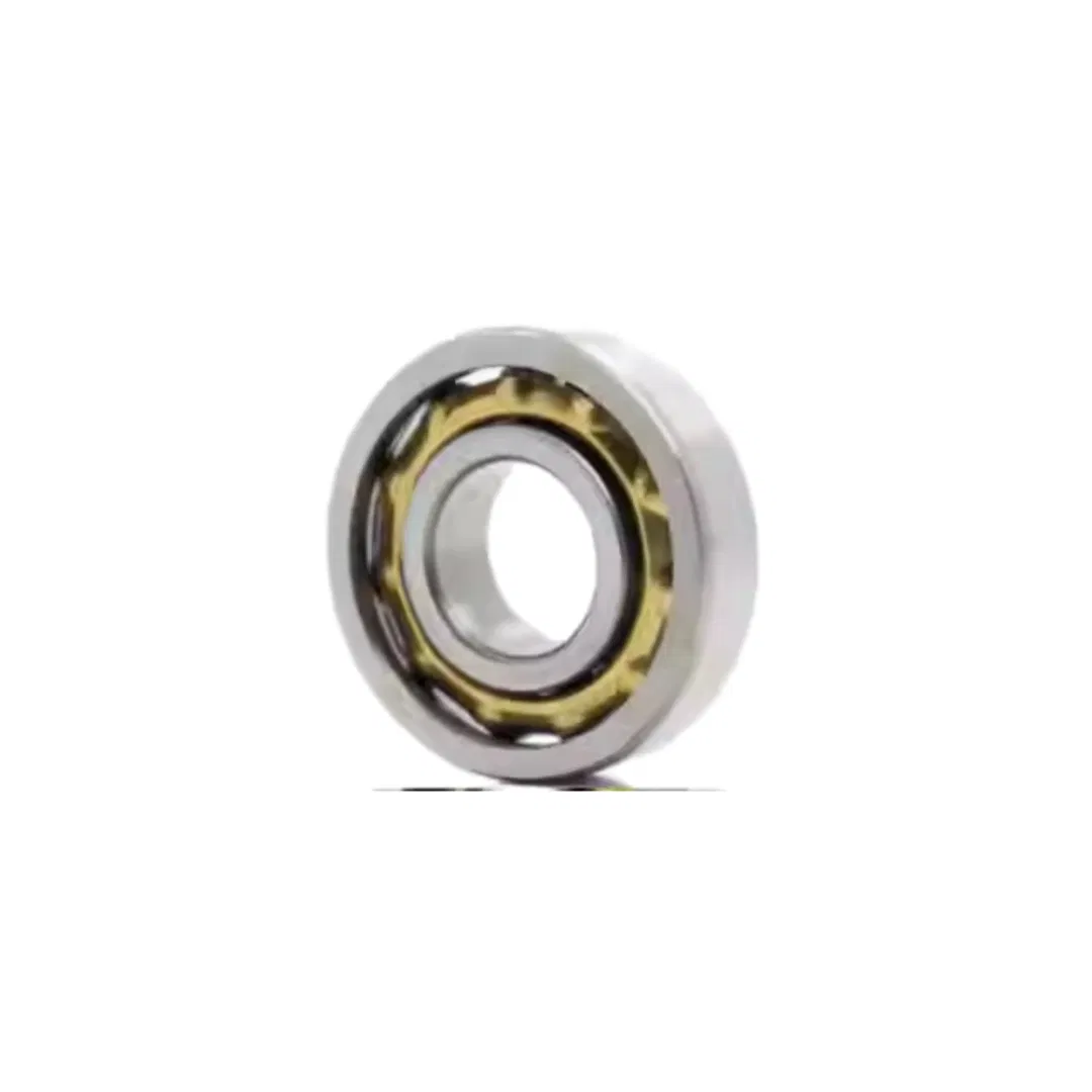 E5 En5 Magnetic Bearing Magneto Bearing with Brass Cage for Textile Spinning Mills Machine pictures & photos