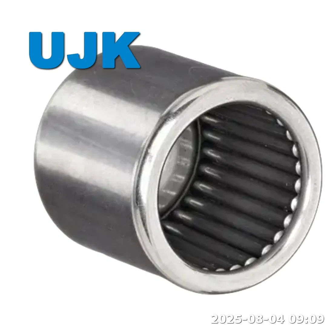 Bk Needle Roller Bearings Bk2216 Bk5020 Bk5520 Bk6020 Bk0912 Bk1012 Bk2520 Bk2820 Bk3020 Bk3520 Bk4020 Bk4520 pictures & photos