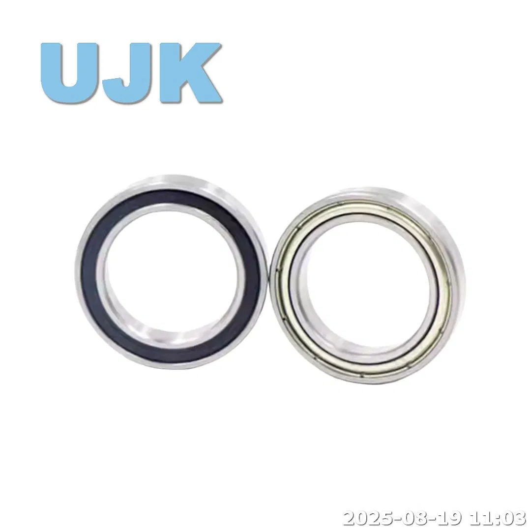 Thin Section Ball Bearings 61821/61821-2RS/61821zz (1000821/1000821 2RS/1000821 ZZ) 105X130X13 0.320kg pictures & photos