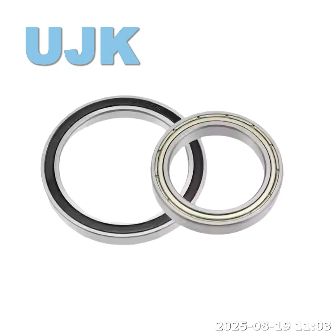 Thin Section Ball Bearings 61821/61821-2RS/61821zz (1000821/1000821 2RS/1000821 ZZ) 105X130X13 0.320kg pictures & photos