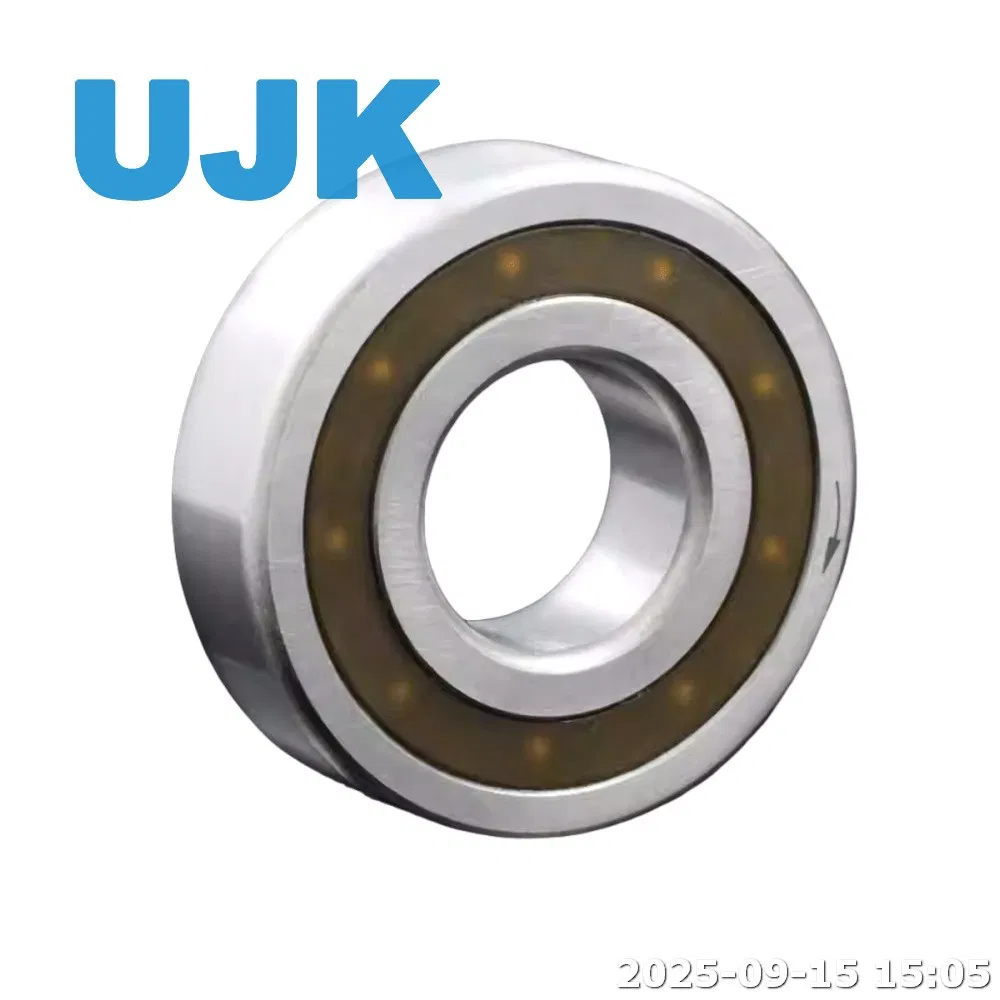 One Way Clutch Bearing 6205 Csk 20 PP 20X47X14 Csk20 2RS Deep Groove Balls One Way Rotation Bearing Csk20PP pictures & photos