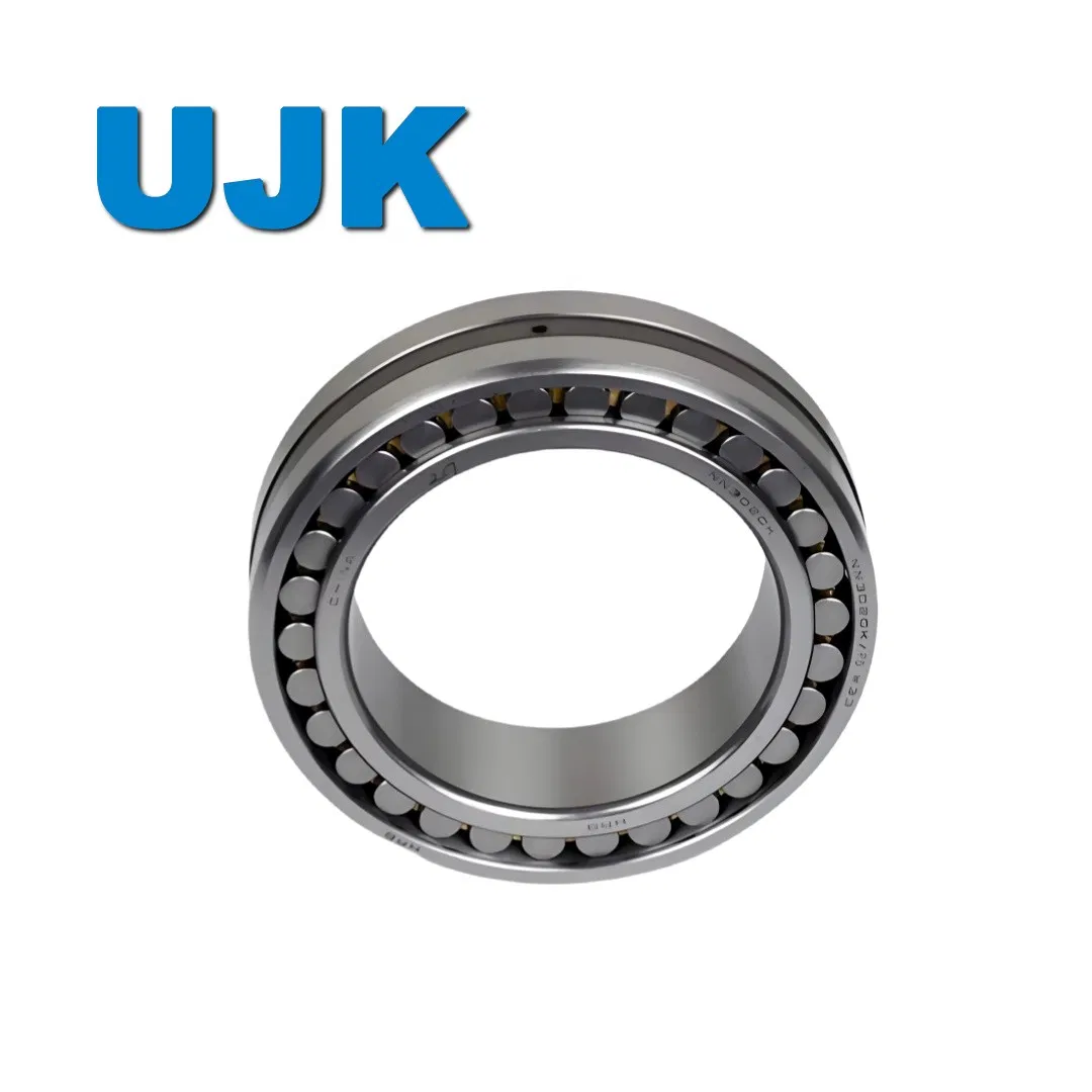 Double Row Cylindrical Roller Bearings 3282148 3282152 3282156 3282160 3282164 3282168 3282172 3282176 3282180 3282184 3282188 3282192 3282196 pictures & photos
