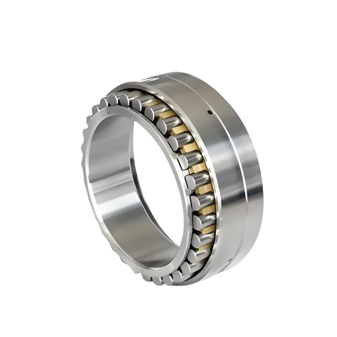 Double Row Cylindrical Roller Bearings Nnu4936K Nnu4938K Nnu4940K Nnu4944K Nnu4948K Nnu4952K Nnu4956K Nnu4960K Nnu4964K Nnu4968K Nnu4972K Nnu4976K pictures & photos