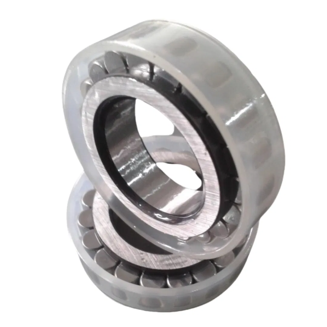 Rsl 182215 Full Complement Cylindrical Roller Bearing Rsl182215 Rsl 183015 Full Complement Cylindrical Roller Bearing Rsl183015 pictures & photos