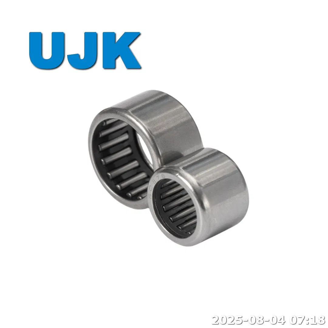 HK Needle Roller Bearings HK5020 HK5520 HK6020 HK0912 HK1012 HK2520 HK2820 HK3020 HK3520 HK4020 HK4520 Used for Motorcycle Engines pictures & photos