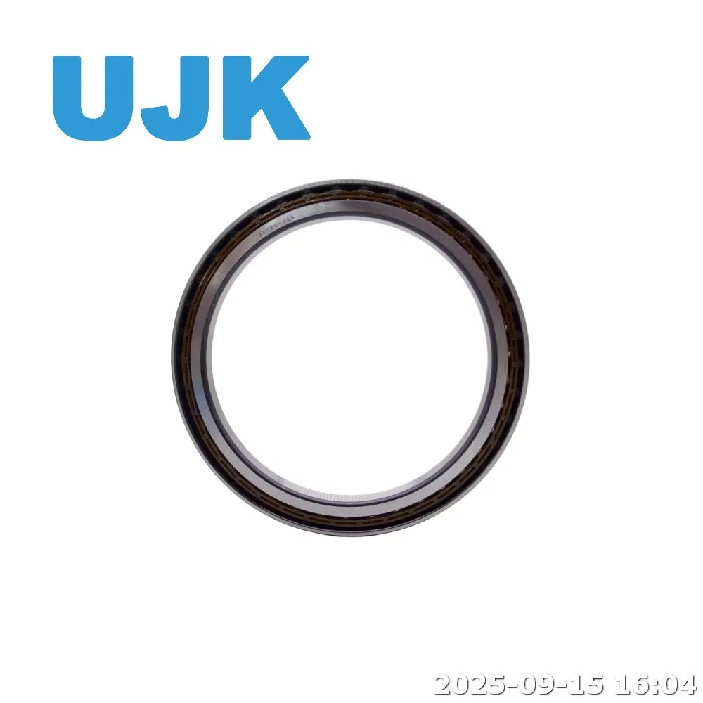 Excavator Walking Bearing Bd185-6A Ba290-3A Excavator Walking Bearing Tractor Trucks Bd155-3A Bd155-4A Bd155-5A Bd155-6A Ba120-7 pictures & photos