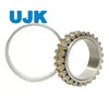 Double Row Cylindrical Roller Bearings Nnu4988/W33 Nnu4996/W33 Nnu49/500/W33 Nnu49/530/W33 Nnu49/560/W33 Nnu49/600/W33 Nnu4921/W33 Nnu4920K/W33