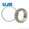 Double Row Cylindrical Roller Bearings 3182180 3182184 3182188 3182192 3182196 3182105 3182106 3182107 3182108 3182109 3182110 3182111 3182112