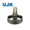 Double Row Cylindrical Roller Bearings Nnu4988/W33 Nnu4996/W33 Nnu49/500/W33 Nnu49/530/W33 Nnu49/560/W33 Nnu49/600/W33 Nnu4921/W33 Nnu4920K/W33
