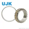 Double Row Cylindrical Roller Bearings Nn3018K/W33 Nn3019K/W33 Nn3021K/W33 Nn3080K/W33 Nn3084K/W33 Nnu4920/W33 Nnu4922/W33 Nnu4924/W33 Nnu4926/W33