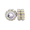 Reducer Special Integral Eccentric Bearings Cylindrical Roller Bearings 250752307K