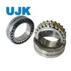 Double Row Cylindrical Roller Bearings 3282152 3282156 3282160 3282164 3282168 3282172 3282176 3282180 3282184 3282188 3282192 3282105 3282106