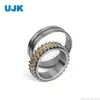 Double Row Cylindrical Roller Bearings 3182180 3182184 3182188 3182192 3182196 3182105 3182106 3182107 3182108 3182109 3182110 3182111 3182112