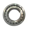 Double Row Full Complement Cylindrical Roller Bearings for Oil Pump and Industrial Transmission, Automotive, Electric Nnf 5020