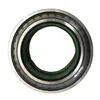 Cpm Series with No Outer Ring F-Series Gearboxes Hydraulic Pump Full Complement Cylindrical Roller Bearings Cp1.2405 Cpm2529