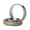 Double Row Cylindrical Roller Bearings Nnu49/530 Nnu49/560 Nnu49/600 Nnu4920K Nnu4921K Nnu4922K Nnu4924K Nnu4926K Nnu4928K Nnu4930K Nnu4932K Nnu4934