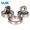 Angular Contact Ball Bearings 7005