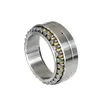 Double Row Cylindrical Roller Bearings Nnu4936K Nnu4938K Nnu4940K Nnu4944K Nnu4948K Nnu4952K Nnu4956K Nnu4960K Nnu4964K Nnu4968K Nnu4972K Nnu4976K