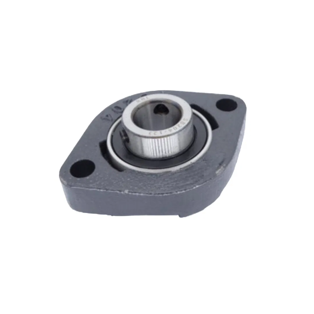 Light Duty Pillow Block Bearings Sbfd201 Sbfd202 Sbfd204 Sbfd203 Sbfd205 Sbfd206 Sbfd207 Sbfd208 Ball Bearing Lock pictures & photos