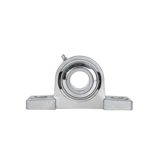 Stainless Steel Pillow Block Bearings Ssucp213 Ssucp214 Ssucp215 Ssucp216 Ssucp217 Ssucp218 Ssucp219 Ssucp220 UCP213 pictures & photos