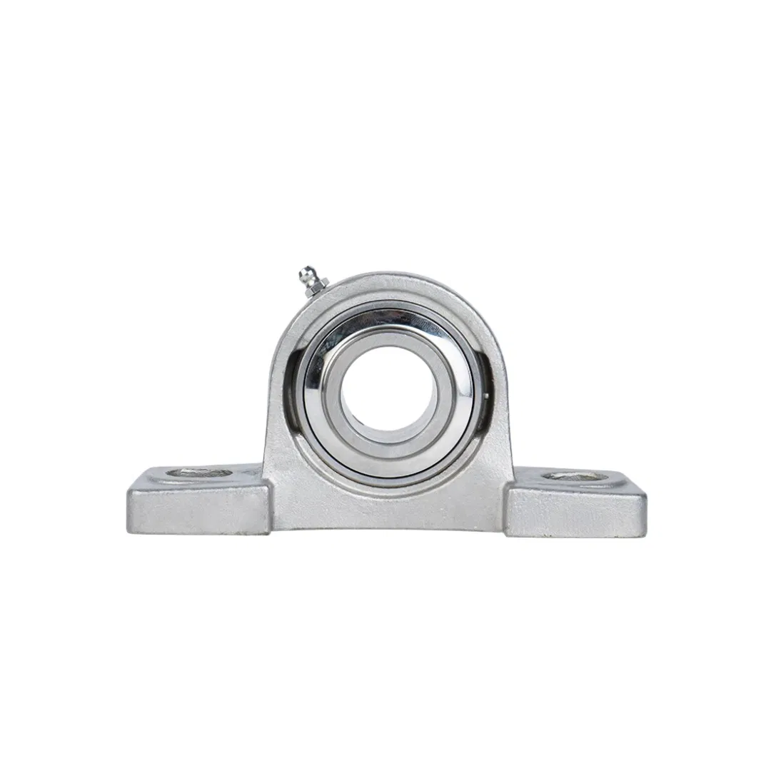 Stainless Steel Pillow Block Bearings Ssucp213 Ssucp214 Ssucp215 Ssucp216 Ssucp217 Ssucp218 Ssucp219 Ssucp220 UCP213 pictures & photos