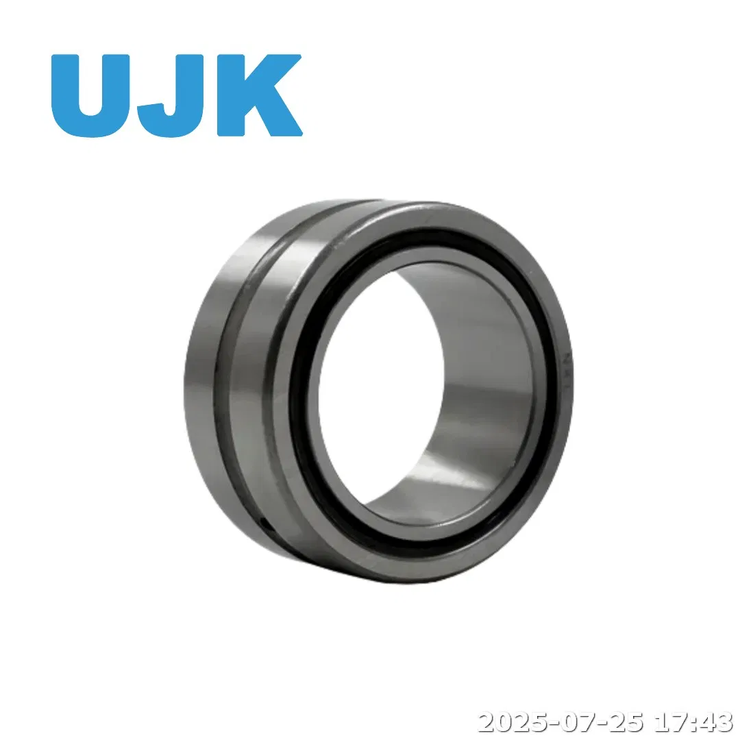 Na Rna Needle Roller Bearings Na4856 Na4860 Na4864 Na4868 Na4872 Na49/8 Na49/9 Na4900 Na4901 Na4902 Na4903 Na4904 Na49/22 pictures & photos